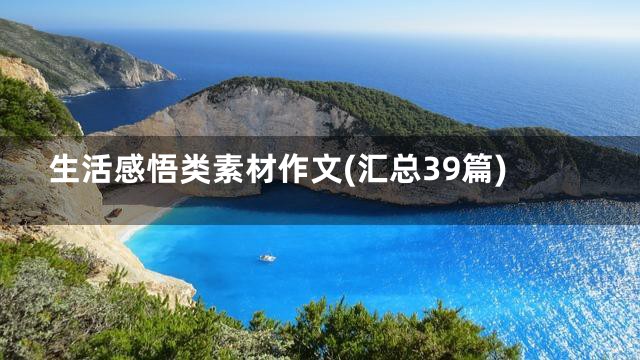生活感悟类素材作文(汇总39篇)