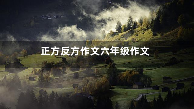 正方反方作文六年级作文