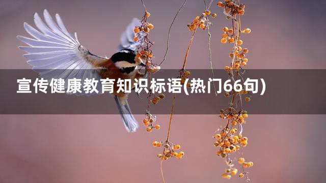 宣传健康教育知识标语(热门66句)