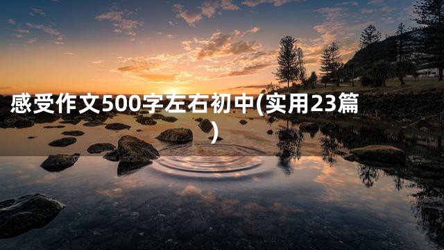 感受作文500字左右初中(实用23篇)