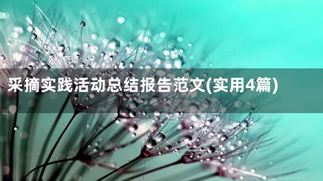 采摘实践活动总结报告范文(实用4篇)