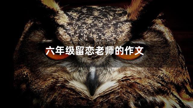 六年级留恋老师的作文