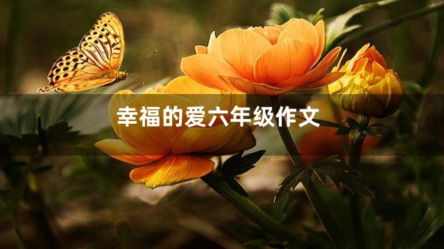 幸福的爱六年级作文