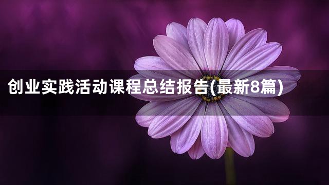 创业实践活动课程总结报告(最新8篇)