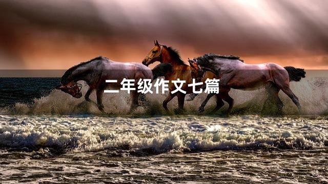二年级作文七篇