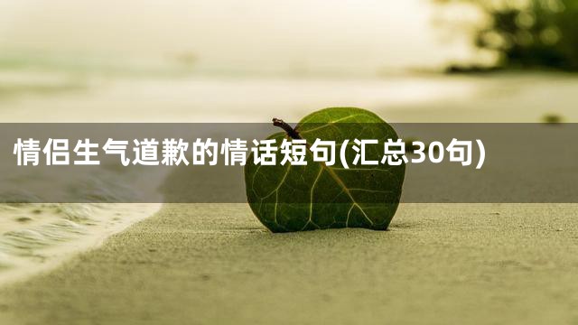 情侣生气道歉的情话短句(汇总30句)
