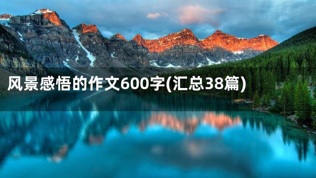 风景感悟的作文600字(汇总38篇)