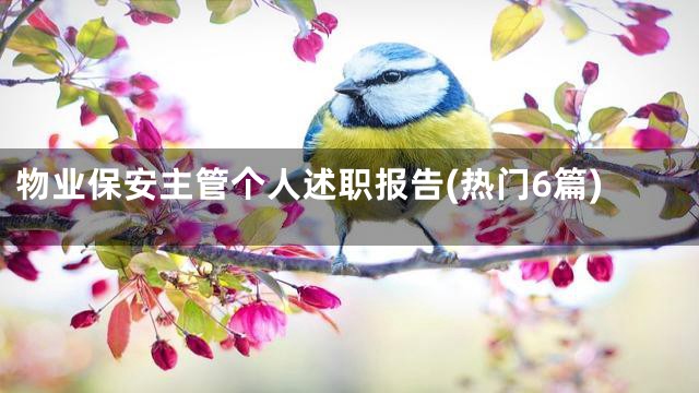 物业保安主管个人述职报告(热门6篇)