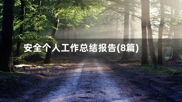 安全个人工作总结报告(8篇)