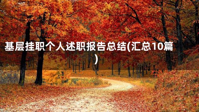 基层挂职个人述职报告总结(汇总10篇)