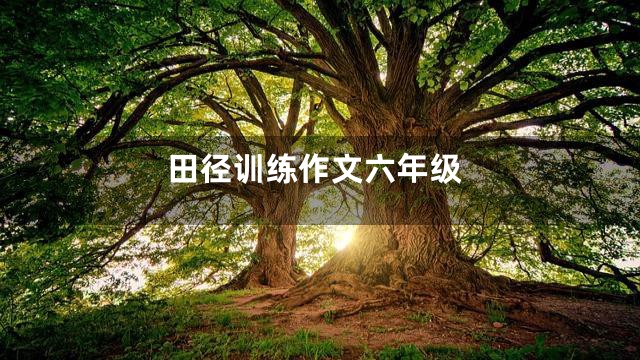 田径训练作文六年级