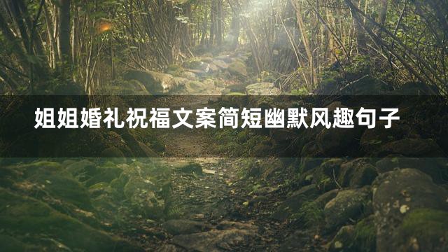 姐姐婚礼祝福文案简短幽默风趣句子