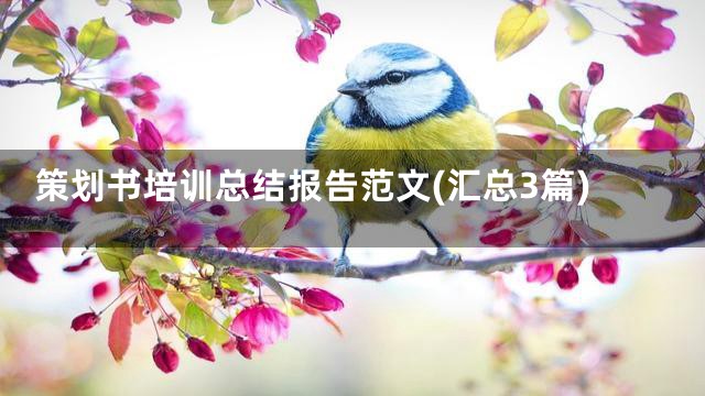 策划书培训总结报告范文(汇总3篇)