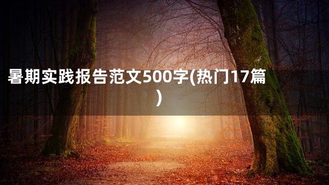 暑期实践报告范文500字(热门17篇)