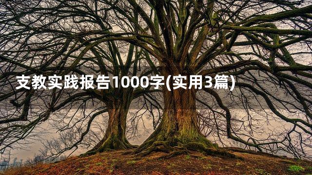 支教实践报告1000字(实用3篇)