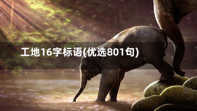 工地16字标语(优选801句)