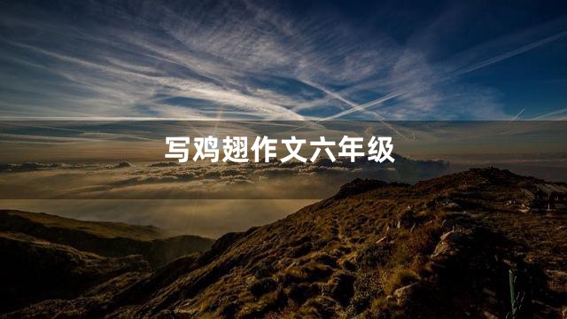 写鸡翅作文六年级