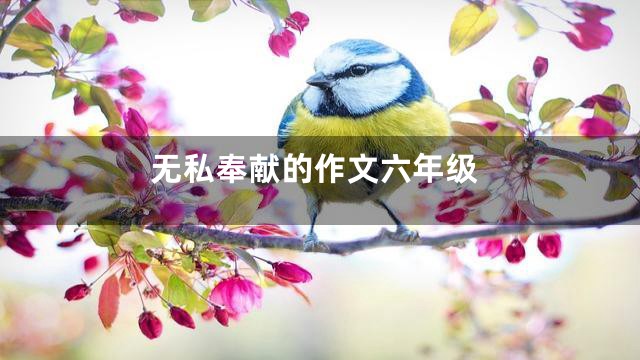 无私奉献的作文六年级