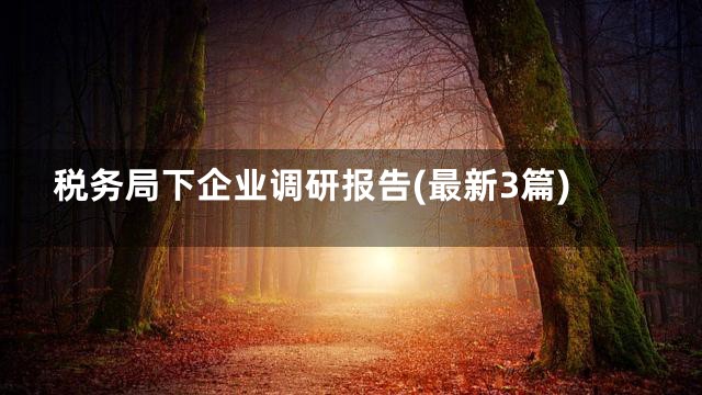 税务局下企业调研报告(最新3篇)