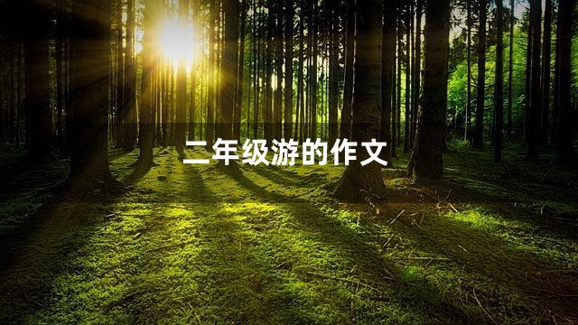 二年级游的作文