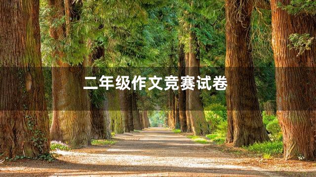 二年级作文竞赛试卷