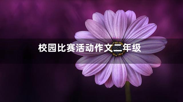 校园比赛活动作文二年级