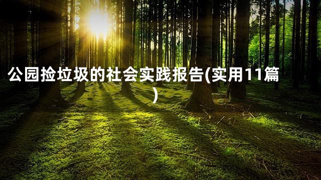 公园捡垃圾的社会实践报告(实用11篇)