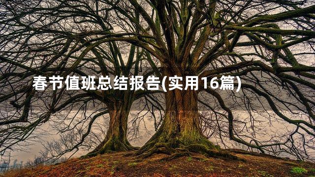春节值班总结报告(实用16篇)
