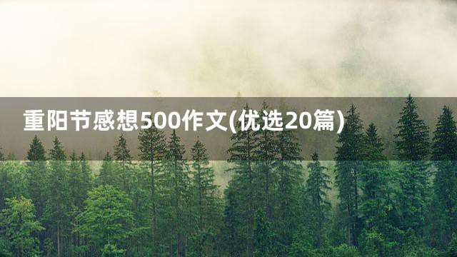 重阳节感想500作文(优选20篇)
