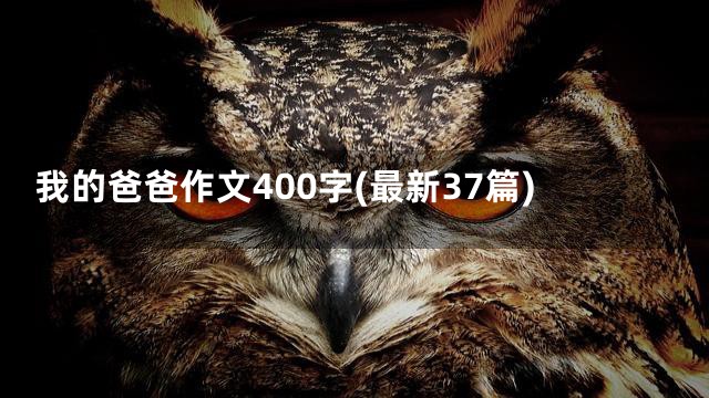 我的爸爸作文400字(最新37篇)