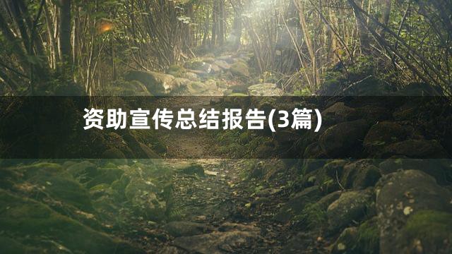 资助宣传总结报告(3篇)