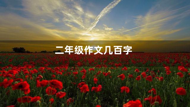 二年级作文几百字