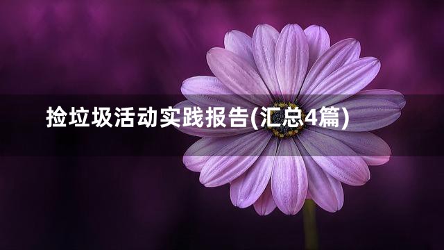 捡垃圾活动实践报告(汇总4篇)