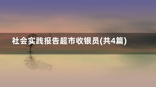 社会实践报告超市收银员(共4篇)