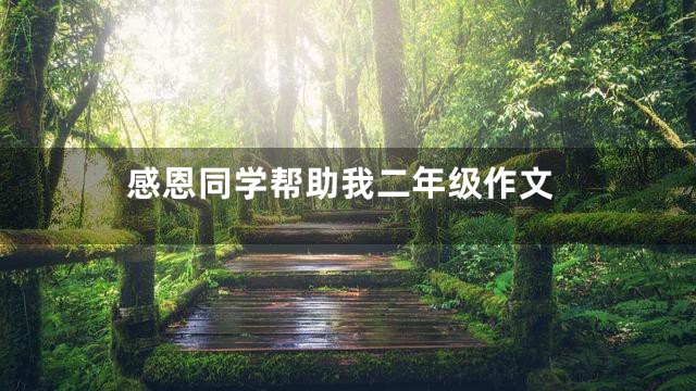 感恩同学帮助我二年级作文
