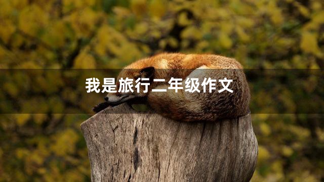 我是旅行二年级作文