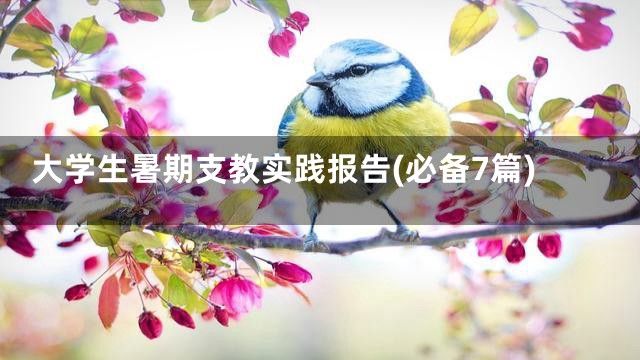 大学生暑期支教实践报告(必备7篇)