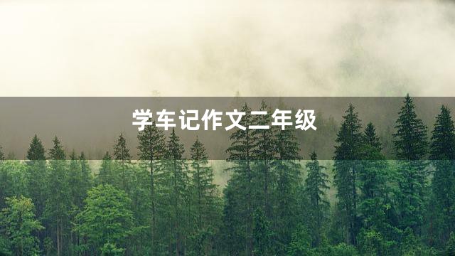 学车记作文二年级