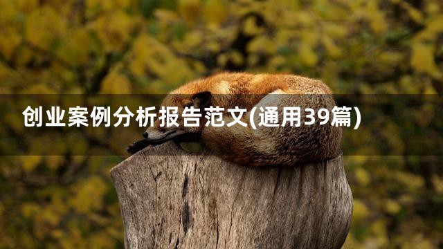 创业案例分析报告范文(通用39篇)