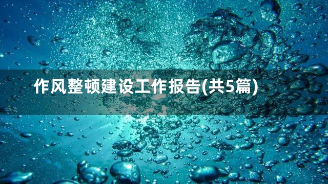 作风整顿建设工作报告(共5篇)