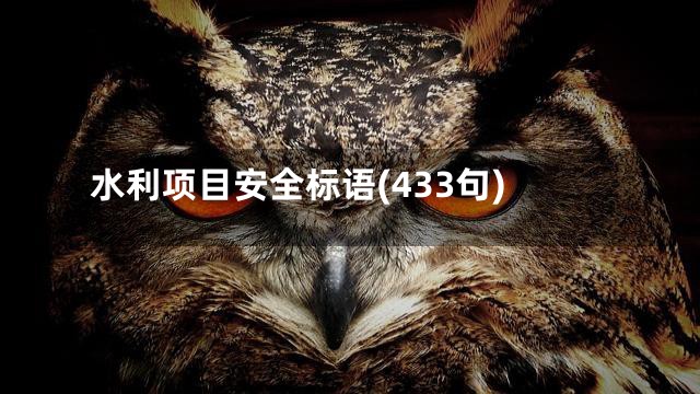 水利项目安全标语(433句)