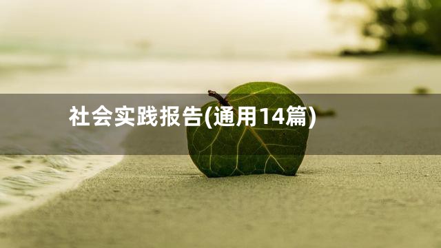 社会实践报告(通用14篇)