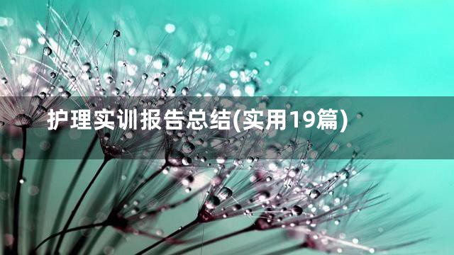 护理实训报告总结(实用19篇)