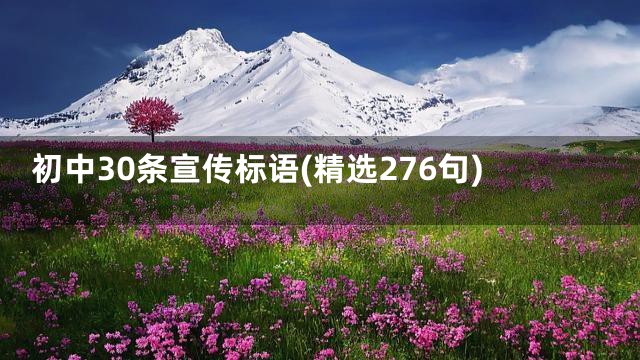 初中30条宣传标语(精选276句)