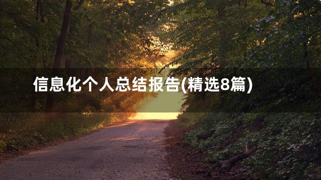 信息化个人总结报告(精选8篇)