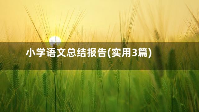小学语文总结报告(实用3篇)