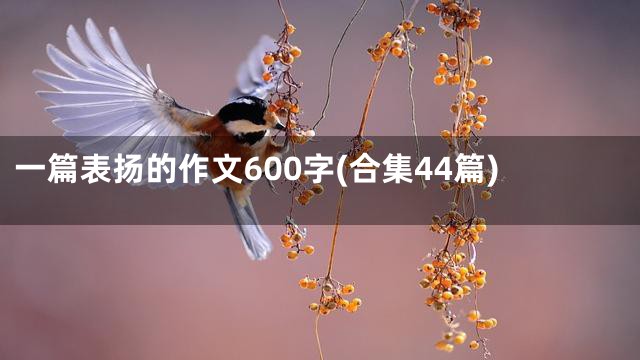 一篇表扬的作文600字(合集44篇)
