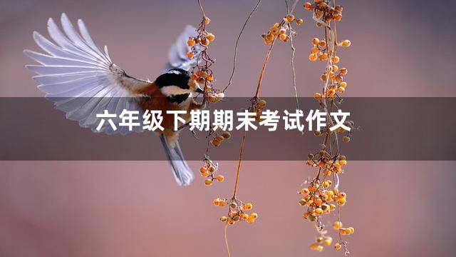 六年级下期期末考试作文