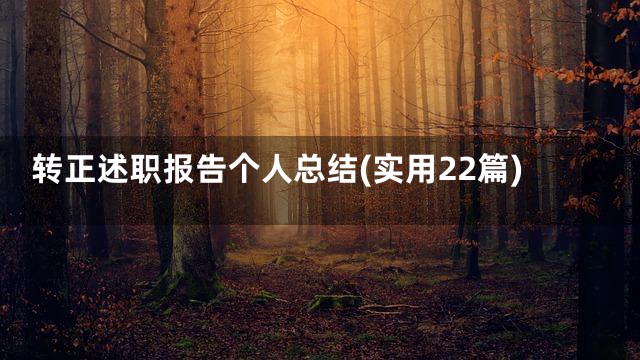 转正述职报告个人总结(实用22篇)