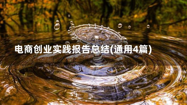电商创业实践报告总结(通用4篇)